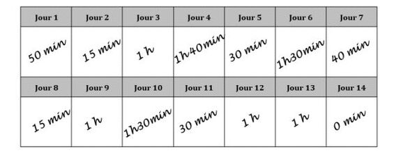 Calendrier représentant la durée quotidienne d’une pratique sportive sur 14 jours.