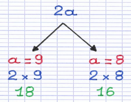 Deux exemples de forme littérale d’un nombre entier naturel pair : 2a donne 18 si a = 9, ou 16 si a = 8.