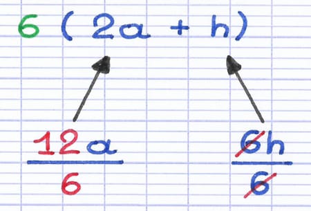 Factorisation de l’expression littérale par mise en évidence du diviseur commun : 6(2a + h).