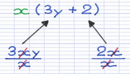 Mise en évidence du facteur commun au sein de l’expression : x(3y + 2).