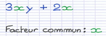 3xy + 2x avec comme facteur commun la lettre x mise en évidence.