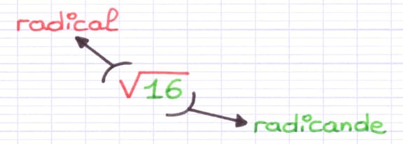 Indication du radical (symbole) et du radicande (16) au sein de la racine carrée √16.