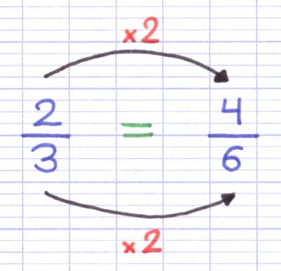 Les fractions 2/3 et 4/6 sont égales car le numérateur et le dénominateur sont multipliés par deux.