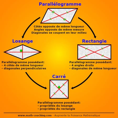 Propriétés des parallélogrammes particuliers : losange, rectangle et carré.