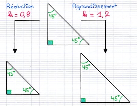 Propriété des angles lors d’un agrandissement ou réduction illustrée par des triangles rectangles isocèles.