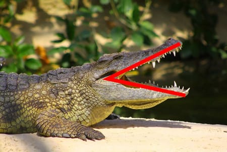 Crocodile à la gueule ouverte avec le signe inférieur en rouge superposé sur sa gueule.