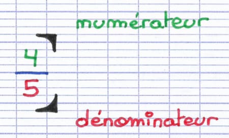 Au sein de la fraction 4/5, le numérateur est 4, tandis que le dénominateur est 5.