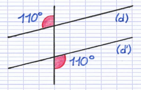 Deux droites parallèles avec deux angles alternes-externes égaux de 110°.