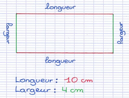 Rectangle avec une longueur de 10 cm et une largeur de 4 cm.